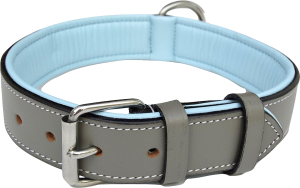a blue dog collar